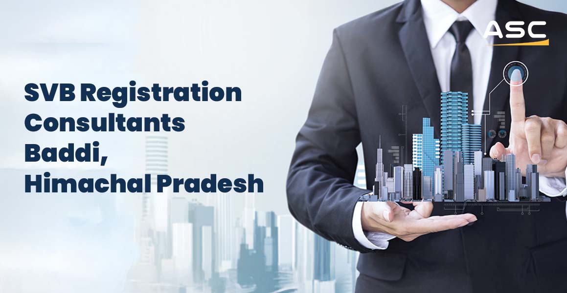 SVB Customs Registration Consultants Baddi